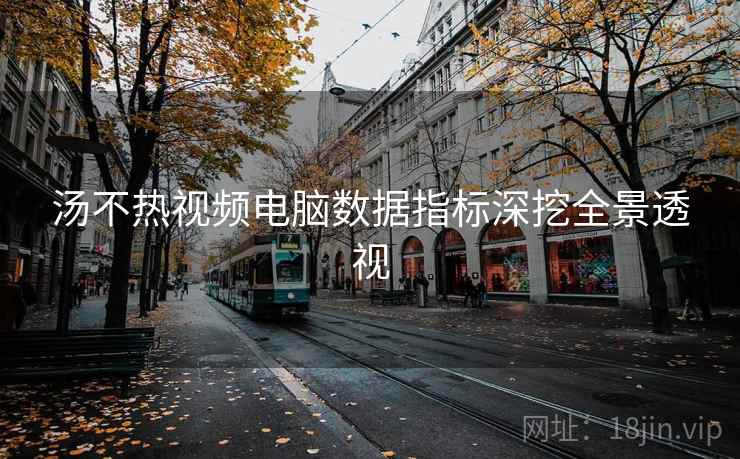 汤不热视频电脑数据指标深挖全景透视