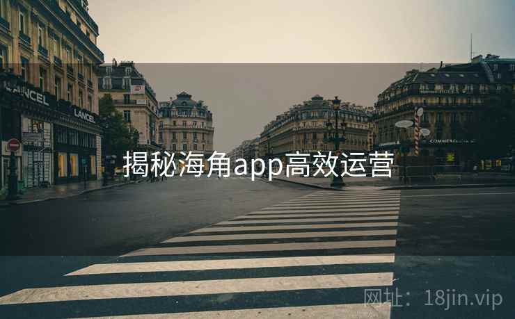 揭秘海角app高效运营