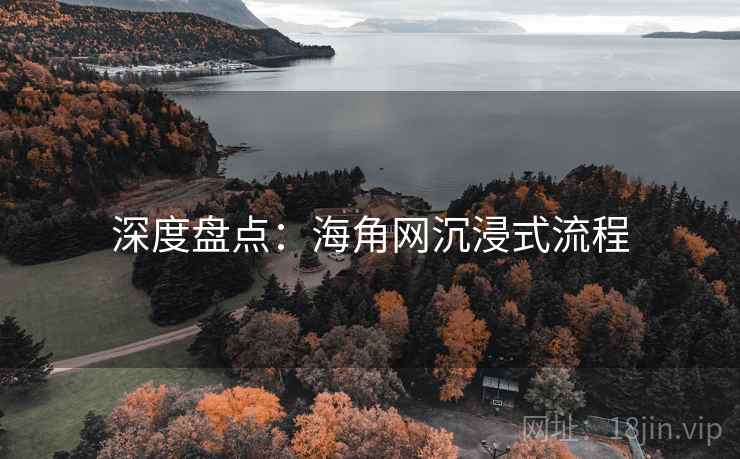 深度盘点:海角网沉浸式流程